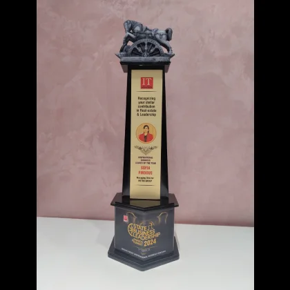 Inspirational Business Leader of the Year recognition image